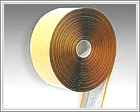 tsnn
